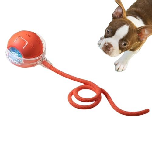 Interactive Cat Balls, Rolling Cat Toy, Chirping Cat Toys, Pet Entertainment Toys, Automatic Motion-Activated Interactive Cat To