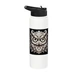 Stunning Mandala Owl Art: Unique Big Eyes Stainless Steel Insulated Water Bottle
