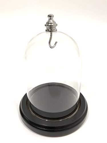 Glass Dome 3 x 4 Silver Knob, New Clear Glass Display Dome Premium