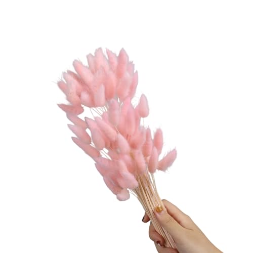 60 unidades de flores secas natural hare tails para decoración miniatura 1