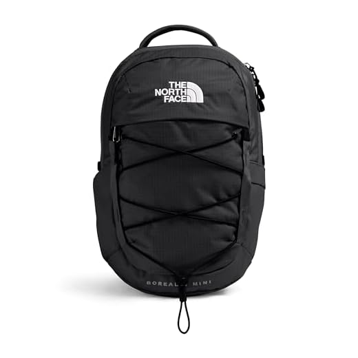 The North Face Borealis Mini Backpack
