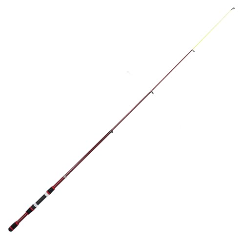 JOYFOX Combo Vara de Pesca e Molinete, Kit completo de Combo Carretel de Vara de Pesca com 2 PCS Var