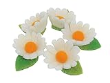 Naturprodukt Schafwolle Filzblüten Margeriten, Gänseblümchen, gefilzt, 5er Set