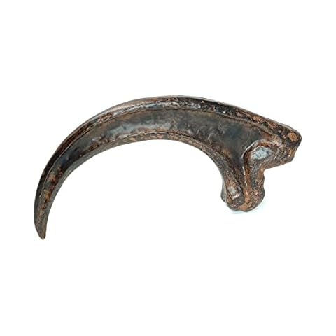 Velociraptor Claw - Raptor Claw - Solid Resin Cast Cover