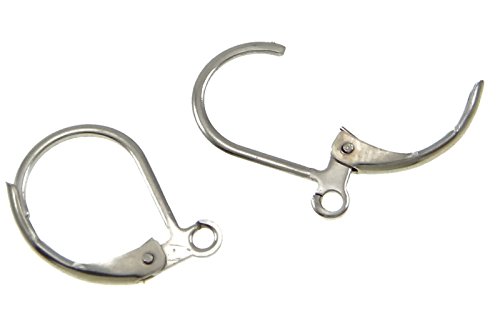 6 Crochets Boucles D'oreilles En Acier Inoxydable - Ireland