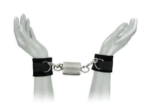 master series the ice warden self-bondage time lock