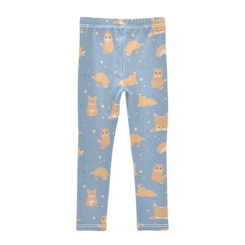 Girls Basic Leggings Baby Girls Pants Cute Hamsters Soft Footless Stretchy Tights Pants 4-10Y2