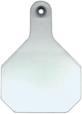 Y-TEX CORPORATION Large White Blank Tag (25 Pack)