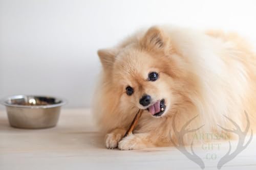 ARTISAN GIFT CO Ochsenziemer für Hunde - 100% Trockenfleisch Hundeleckerlis, geeignet für die Barf-Diät - (60 g, Bullensticks 15cm.)