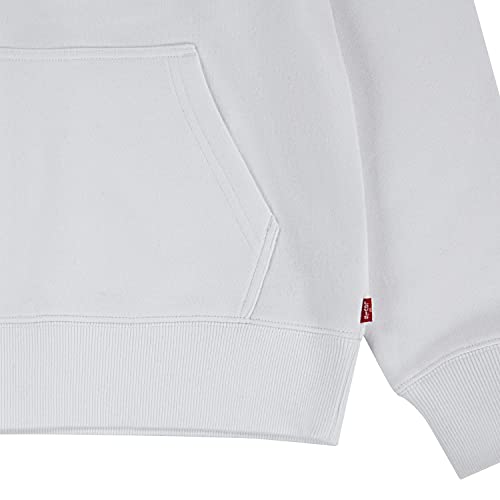 Levi's® Boy's Graphic Pullover Hoodie (Big Kids)2