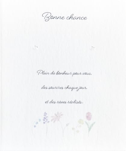 sAX䎆 ANZT[䎆 50 t[ 6×5Z`