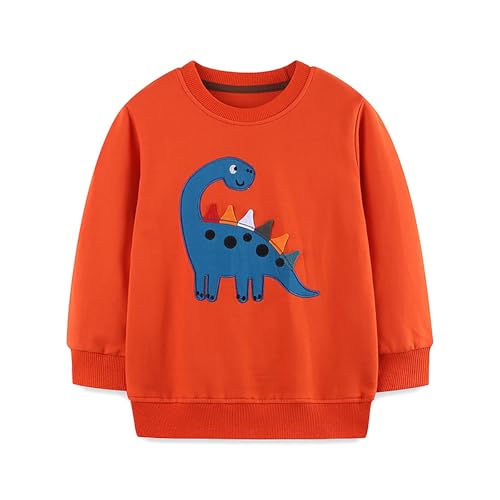 Sweat à capuche garçon manches longues imprimé dinosaure de dessin animé