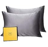 HISEN HOME 100% Silk Pillowcase for Hair and Skin, 100% Mulberry Silk Pillow Cases Both Side 19 Momme Pillow Protectors Bed Pillowcase with Hidden Zipper, Standard Size Pillow Cases - Gray