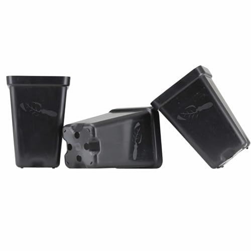 Bootstrap Farmer Seedling Starter Pots, 80 Pack, Black 2.5 Inch Square Tray Inserts