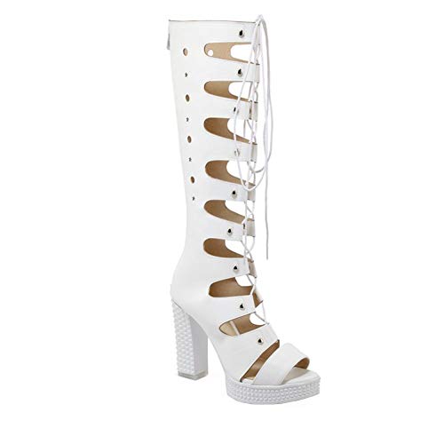 [Cindy Balala] T}[u[c u[cT_ rT_ fB[X OfBG[^[ T_ O  nCq[ I[vgD p[eB[ ʋΗp (23.5, zCg)