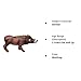 Gemini&Genius Warthog Toy, Safari Animal Figure, Warthog Figurine, Wildlife Action Figure, Great Play Toy, Collection, Cake Topper, Storytelling Prop and Room Decor for Kids