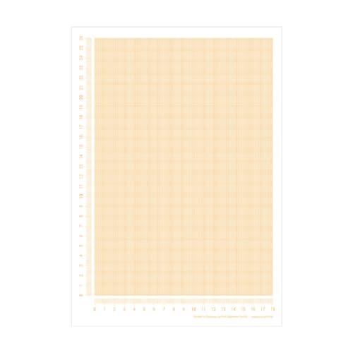 PuK Millimeterpapier Block DIN A4 | seitlich abgedrucktes Lineal | 25 Blatt zum Abreißen | mathematisches Papier | zum Beschreiben und Skizzieren (DIN A4)