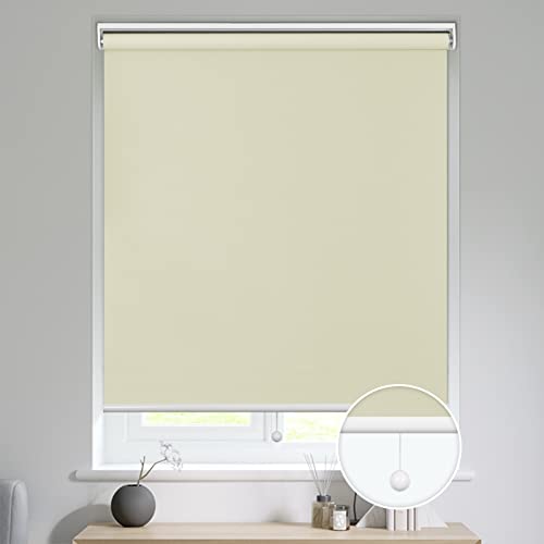 HOMEDEMO ���[���X�N���[�� �v���R�[�h�� ���[���J�[�e�� �I�[�_�[���C�h �v���R�[�h 1���Ռ� �u���C���h (0.5cm�P�ʃT�C�Y�w��) �ȒP���t�� �f�M �ډB��10�F �x�[�W�� ����250cmx��100cm