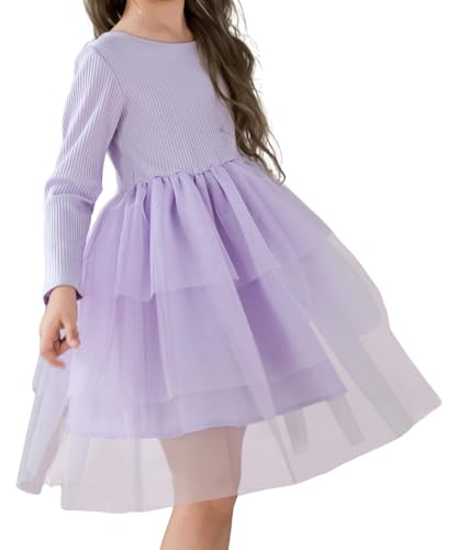 Toddler Girls Tutu Dress Long Sleeve Layered Tulle Fall