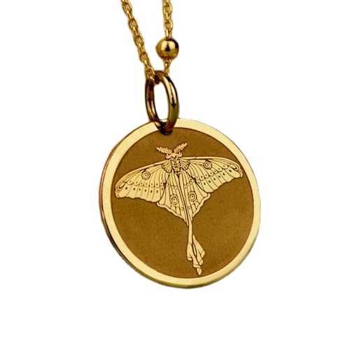 Delicada joyería de polilla luna para diario collar de plata con colgante de moneda