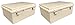 BUD Industries NBF-32018 Plastic ABS NEMA Economy Box with Solid Indoor Door, 11-51/64" Length x 7-55/64" Width x 6-9/32" Height, Light Gray Finish (Tw? P?ck)