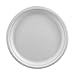 Papstar Pappteller / Einwegteller weiß, rund "pure" (50 Stück), robust, hergestellt aus nachwachsendem Zuckerrohr, biologisch abbaubar, Durchmesser 26 cm, Höhe 2 cm, ungeteilt, #81326