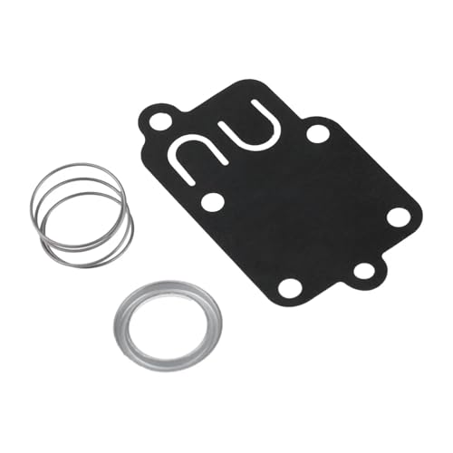 Kit de réparation carburateur pour redémarrer le motoculteur du potager au printemps