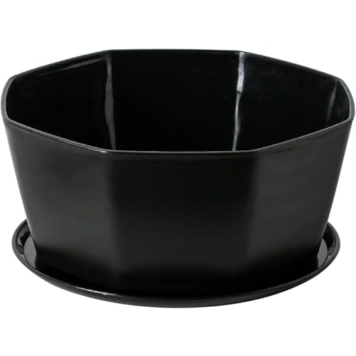8 macetas suculentas, macetas cerámicas suculentas con orificio de drenaje, maceta de planta poco profunda, maceta de flores para plantas de interior redondas de bonsai poco profundos con bandeja de