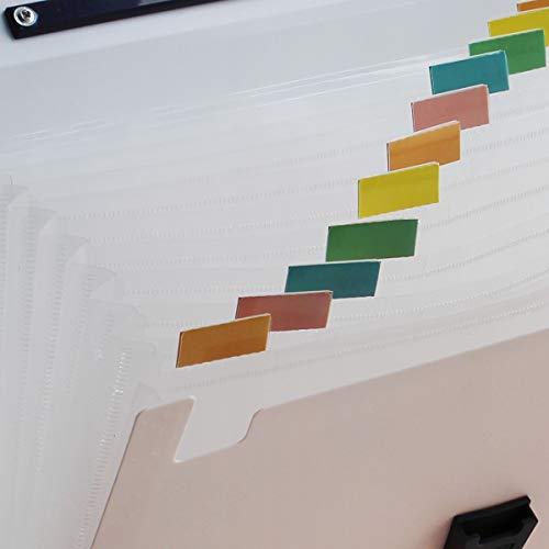 Snail&Hawk Poly Accordion Expanding-File-Folder with Handle and Tabs,A4 Size,13-Pockets,Pink