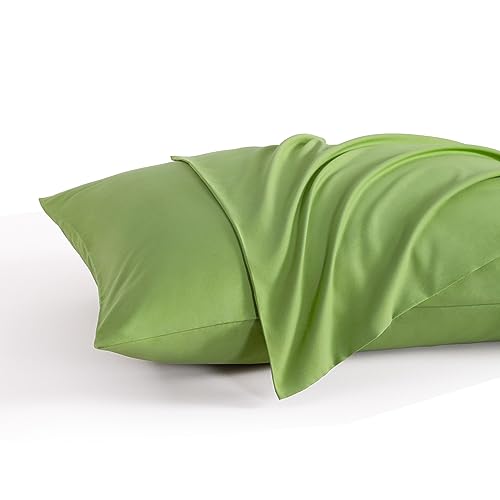 NTBAY Queen Microfiber Pillowcases, Set of 2, Sage Green