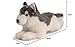 Uni-Toys - Husky grau, liegend - 38 cm (Länge) - Plüsch-Hund - Plüschtier, Kuscheltier