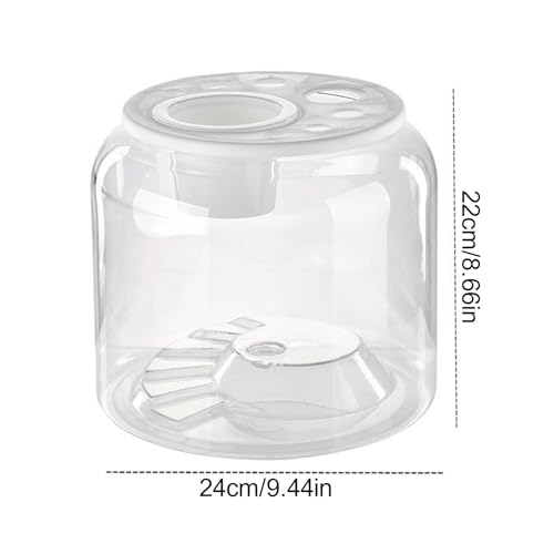 Réservoir de tortue d'eau transparent avec couvercle sécurisé
