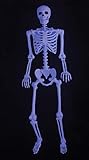 Crazy Bonez Ghostly Life Size Pose-N-Stay Skeleton, Black Light Responsive