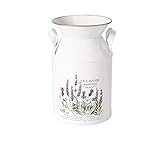 wunderchöne Garten oder Küchendekoration in Form einer Milchkanne