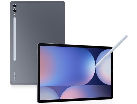 Samsung GALAXY Tab S10+ X820N WiFi 256GB grau Android 14 Tablet