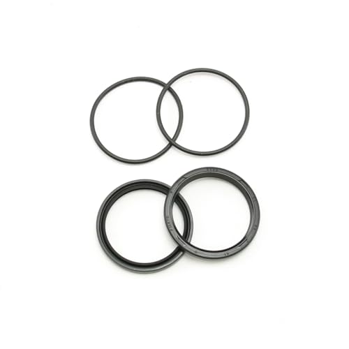 TFC CYGNUS GRYPHUS VOiXOt@X A~ZJ_[ CpICV[ nOZbg