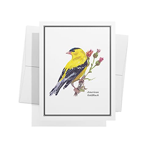 Image of Twigs Paper Birds of America Thank You Cards, 24 Blank Note Cards