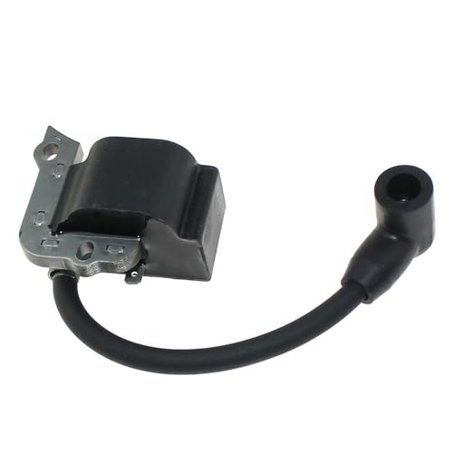 Bobine d'allumage contre les pertes de puissance moteur RM2580 TB25SB 841-012984S