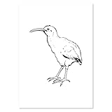 Azeeda A4 'Kiwi' Poster/Kunstdruck (PP00311001)