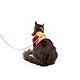 LucyBalu® Explorer Katzengeschirr mit Leine | ausbruchsicheres Katzengeschirr mit AirTag Fach | Katzen Brustgeschirr mit Katzenleine | Sicherheitsgeschirr mit Leine für Katzen | Berry Orange M/L