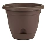 Bloem Lucca Self Watering Planter, 12