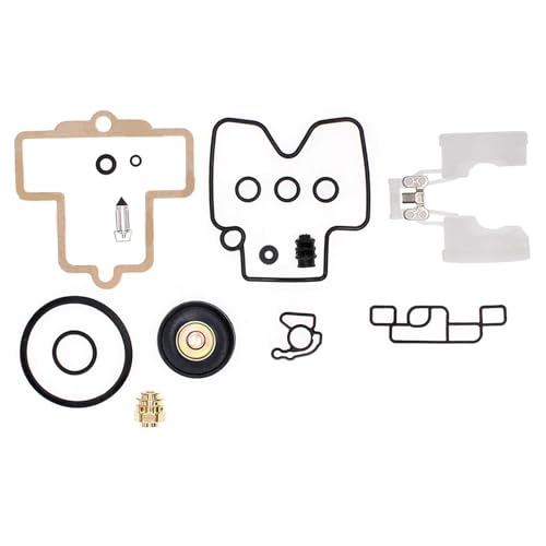Kit réparation carburateur 520EXC pour stopper les fuites moteurs