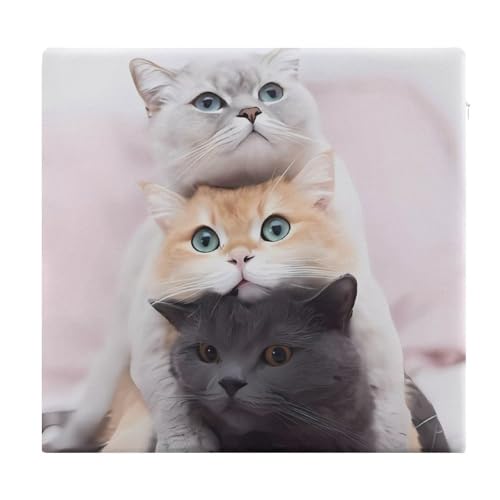 Cojín viscoelástico de gatos 38x35 cm con funda extraíble para comedor 2