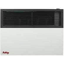 Ashley Wall Heater, Dual Fuel, 17k Direct Vent