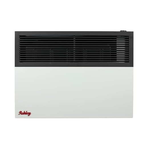 Ashley Hearth Products DVAG17N 17,000 BTU Direct Vent Natural Gas Heater, Cream