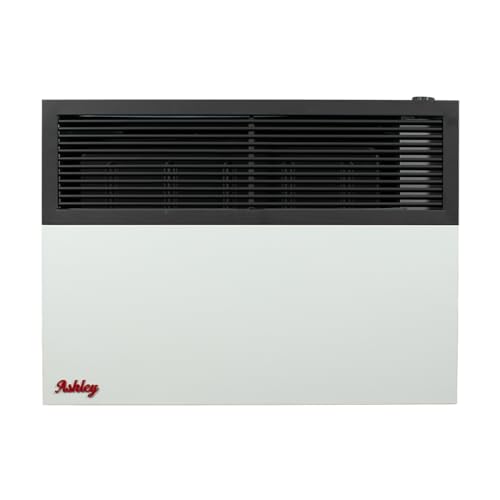 Ashley Dual Fuel 17k Direct Vent Heater