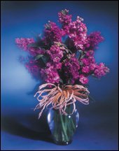 Flower of the Month Club - 7 months