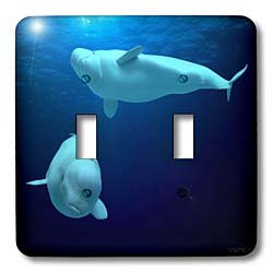 Beluga Whales interrupteur à baïonnette 3dRose plaque murale Delphinapterus Leucas
