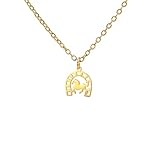 UNIFT Collar de herradura de la suerte para mujer, collar con colgante de caballo y herradura de acero inoxidable, joyería de animales, regalo para amantes de los caballos y ecuestres, Adjustable
