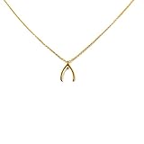 Lil Pepper Jewelry Wishbone Gold Plated Necklace Dainty Pendant Good Luck Wishful Bone